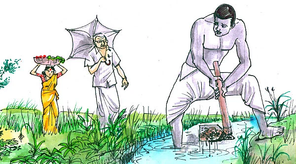 மரத்தடி மாநாடு: கோழிகளுக்கு வெள்ளைக்கழிச்சல்... கவனம்!
