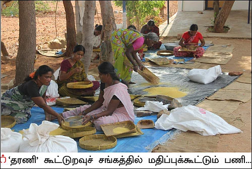 விளையும் விலையும்! - சந்தைக்கு வழிகாட்டும் தொடர் - 13