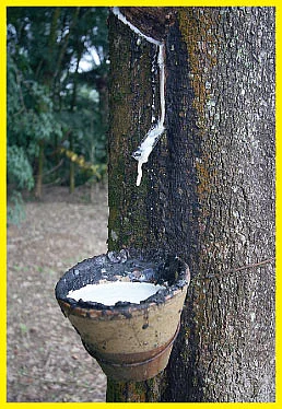 எப்படி வந்தேன் தெரியுமா ?