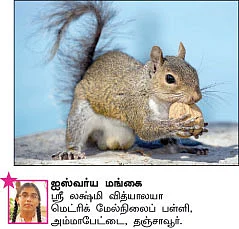 சுட்டி நியூஸ்