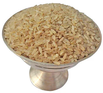 உலகம் சுற்றும் உழவு!