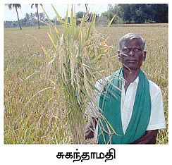 புது நெல்லு... புது நாத்து...