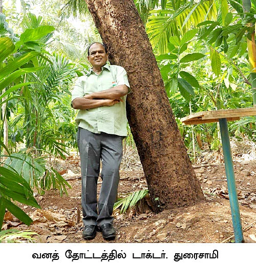 120 ஏக்கர்... 50 ஆயிரம் மரங்கள்...