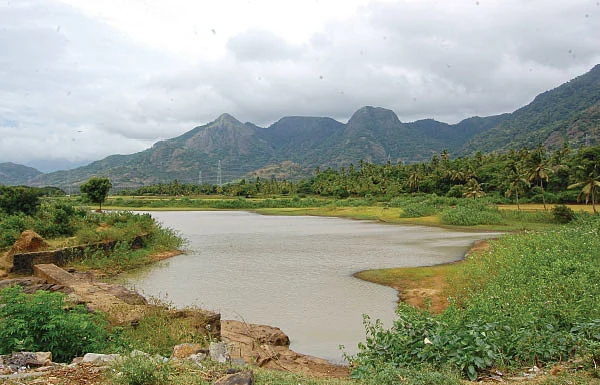 குரு பலம் வேண்டுமா? புளியறைக்கு வாருங்கள் !