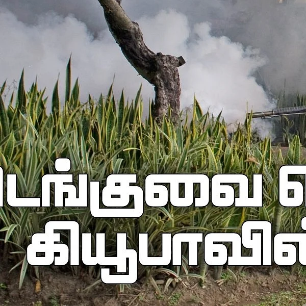 சுகாதாரத்துறை கொசுக்களை விரட்டிய யுக்தி...! - டெங்குவை வென்ற கியூபாவின் கதை - அத்தியாயம்-1