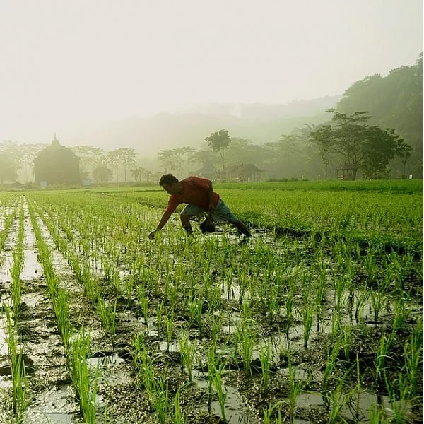 இவர்கள் இல்லையேல், இந்த உணவு இன்னும் எத்தனை நாளைக்கு? #NationalFarmersDay