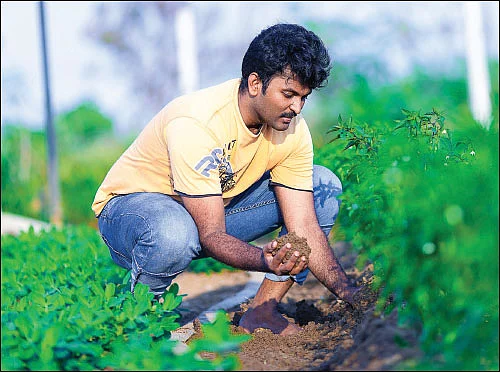 வைட்டமின் N இது இயற்கை அளிக்கும் சூப்பர் மருந்து!