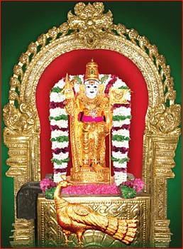 பச்சைமலை முருகனுக்கு பச்சை நிற வஸ்திரம்!