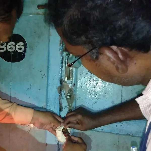 `பிஸ்கட் பாக்கெட்டுகள் மத்தியில் குட்கா’ - தேனியில் தனியார் நிறுவனத்தின் குடோனுக்கு சீல்