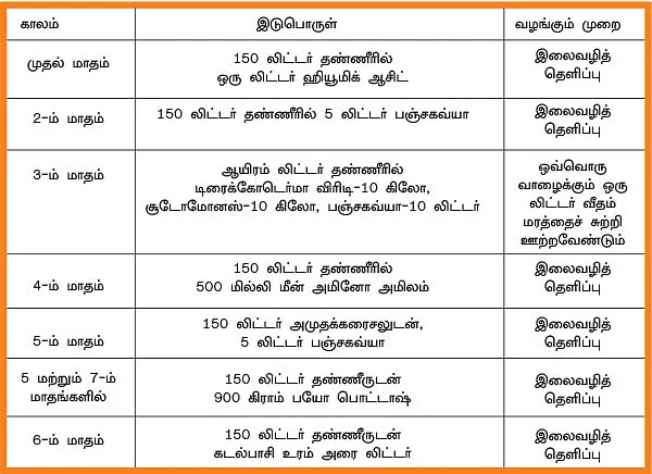 ஒரு ஏக்கர்... ரூ 2,70,000 வருமானம்... நட்டமில்லா விவசாயத்துக்கு கைகொடுக்கும் நாடன் வாழை!