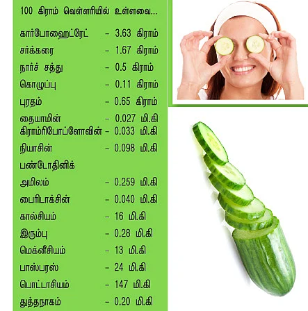 வெயிலை விரட்டும் வெள்ளரி!