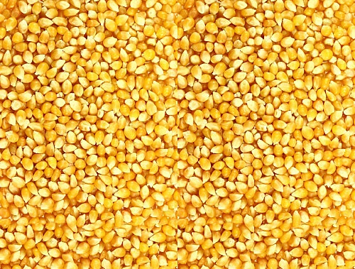 அவ்வளவும் சத்து - தானியங்கள் பருப்புகள் பலன்கள்!