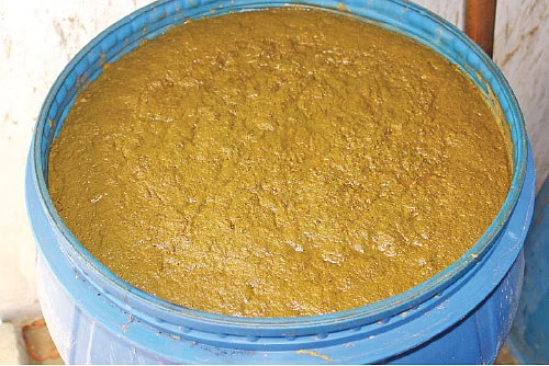 பஞ்சகவ்யா - 14