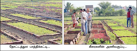 50 சென்ட்... மாதம் 30 ஆயிரம்...