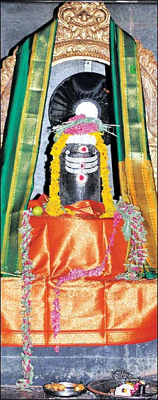 சிவம் தவம் தரிசனம்!