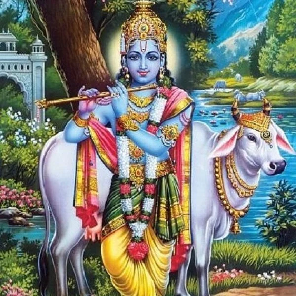 போரில் அதர்மம் அழிந்து தர்மம் தழைத்தபோதும்... அர்ஜுனன் தேர் எரிந்தது ஏன்?