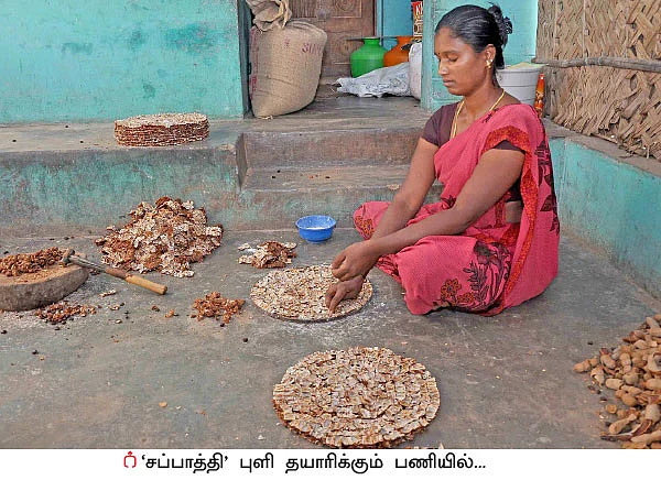 வறட்சிப் பகுதிகளிலும் வருமானம் கொடுக்கும் ‘புளி’!