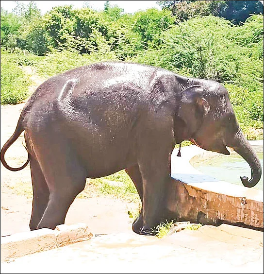 தமிழ்நாடு