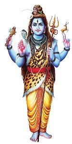 ‘மாசி' கடலாடல்...