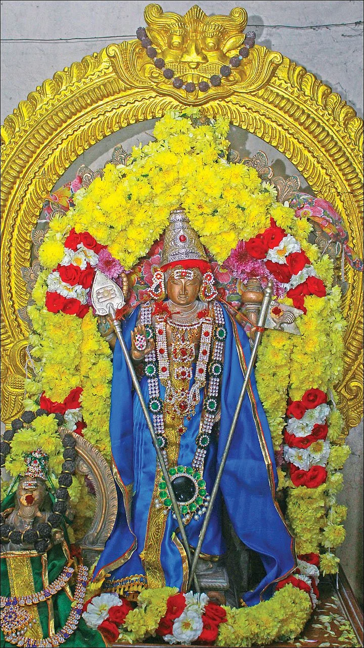 பாகை மேவிய தோகை மயில் முருகன்!