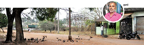 காக்காக் கடை!
