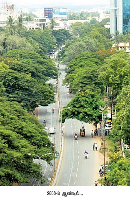 மரங்கள் அற்ற நரகம் ஆகிறது கோவை!