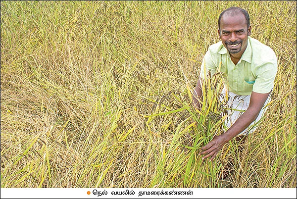 மதிப்புக்கூட்டினால் மகத்தான லாபம்!