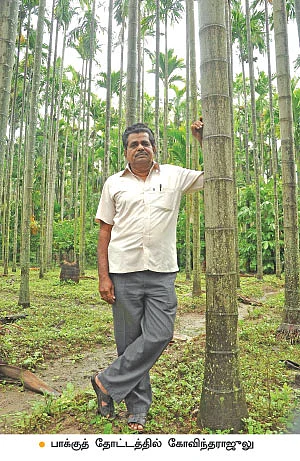 ஆண்டுக்கு ரூ 5 லட்சம்... பாக்கு, தென்னை, மஞ்சள், நெல்...