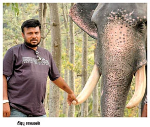 தேனியிலதான் வாழ்க்கை இருக்கு!