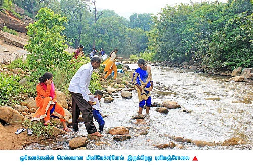 “நாங்கள் இப்போ பச்சைமலைப் பூக்கள்!”