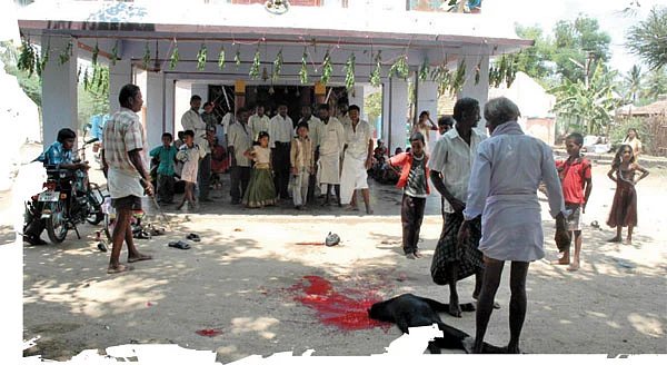 வயசுப் பொண்ணு... கொலுசு சத்தம்!