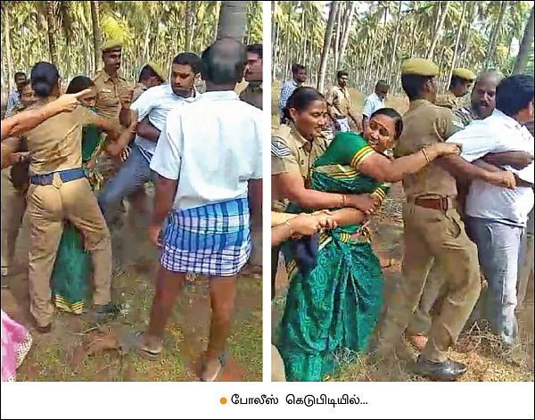 “எங்களை வெட்டுங்க... தென்னை மரங்களை வெட்டாதீங்க!”