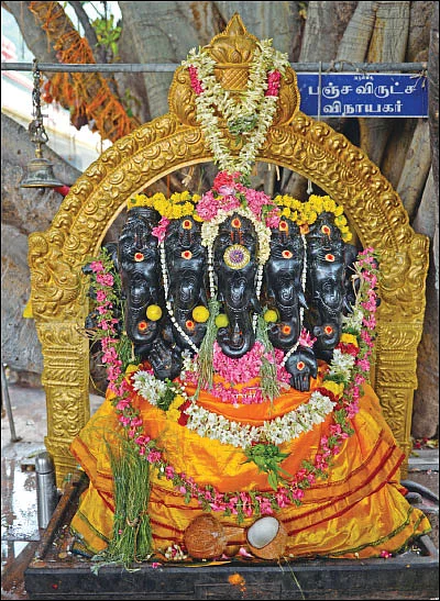 விசாக தரிசனம்: மன நிம்மதி அருள்வான் மருதமலையான்!