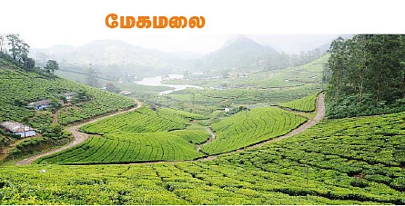 டூர் ஸ்பெஷல்