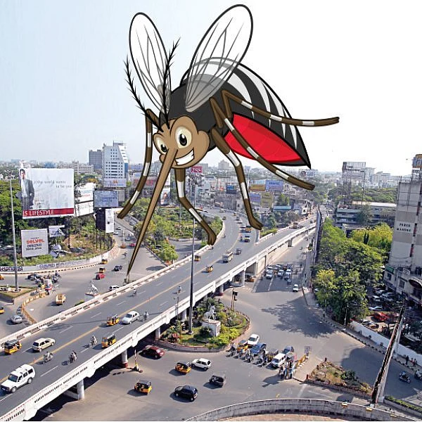 Dengue
