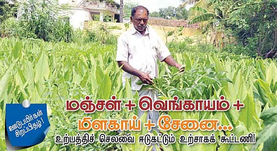 மஞ்சள் + வெங்காயம் + மிளகாய் + சேனை...