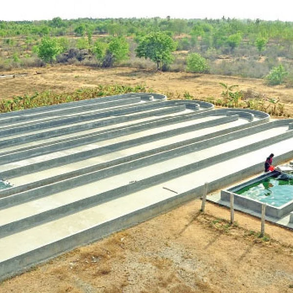 பணம் குவிக்கும் பண்ணைத்தொழில்கள் - 6 - தொட்டியில் வளரும் பணம்... ஸ்பைருலினா!