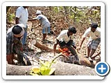மரம் வெட்டி, நிலத்தைச் சுத்தப்படுத்திக்கொடுக்கும் திட்டம் - நடுத்திட்டு கிராமம்