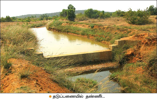 உளிக் கலப்பையில் உன்னத மகசூல்... வழிகாட்டும் வேளாண் நிறுவனம்!