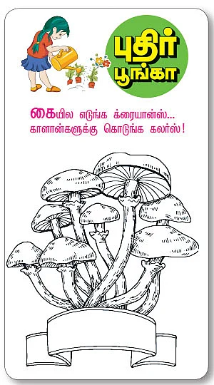 மை டியர் ஜீபா !