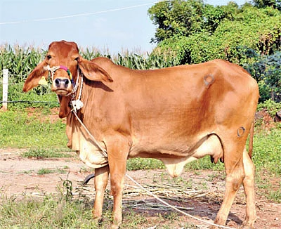 நீங்கள் கேட்டவை