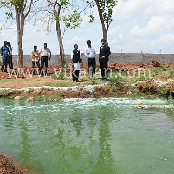 தாமிரபரணியில் கலக்கும் பாதாளச் சாக்கடை கழிவு நீர்! - நீதிமன்றம் ஆய்வு
