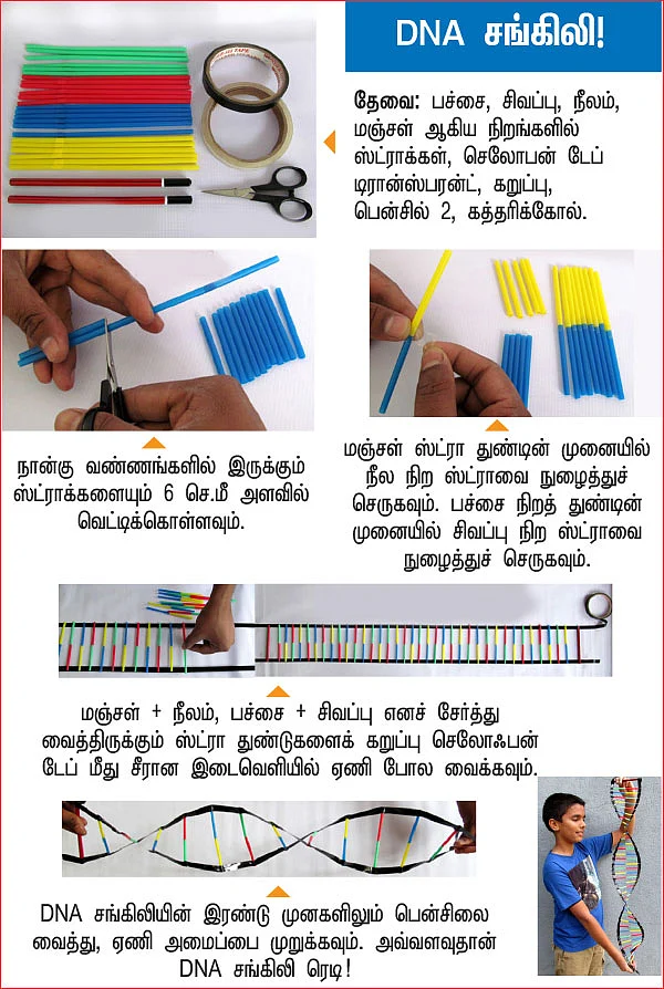 அறிவியல் பழகலாம் வாங்க!
