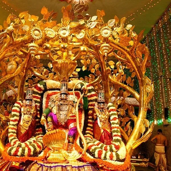 ஆங்கிலப் புத்தாண்டு முன்னேற்பாடுகள்- திருப்பதியில் வி.ஐ.பி சிறப்பு தரிசனங்கள் ரத்து