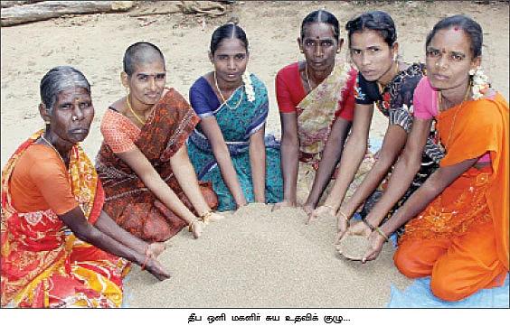 விருது வாங்கிக் கொடுத்த விதைகள்!