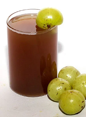கோடை காலப் பராமரிப்பு