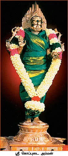 குறை தீர்த்து குலம் காக்கும் கொப்புடை நாயகி!