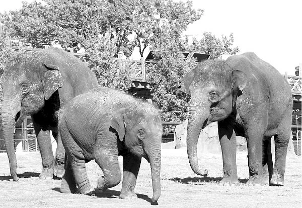 கழுகார் பதில்கள்