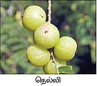 குறைவே இல்லாத வருமானம்... கொடையாக வரும் உற்சாகம்...