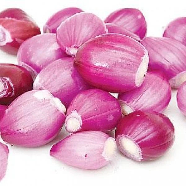 Onion – A Shield That Protects Our Body
